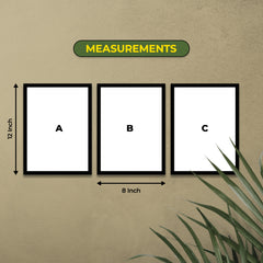 3 IN 1 COMBO FRAME